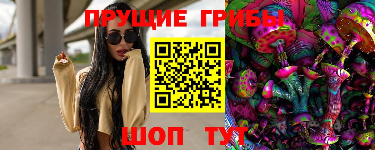 Галлюциногенные грибы Psilocybine cubensis Сызрань